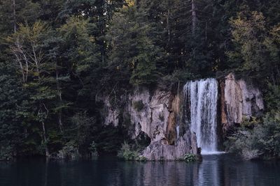 Scenic view of waterfall in forest