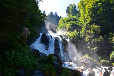 Scenic view of waterfall in forest