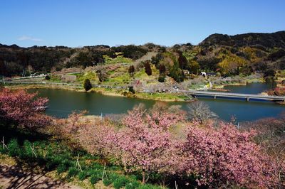 Scenic view of lake against clear sky