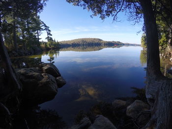 Reflection of trees in lake