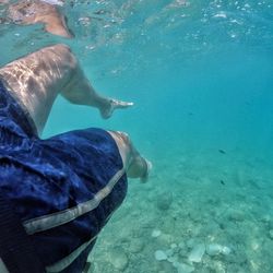 Fish swimming in sea