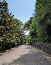 Empty road amidst trees against sky