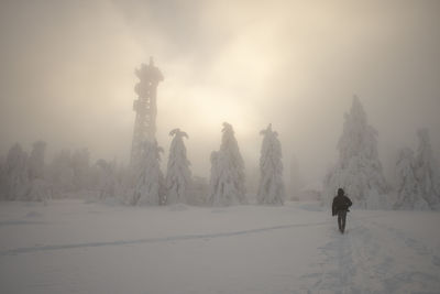 Person walking on snow covered land