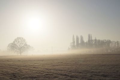 Scenic view of field against sky during foggy weather