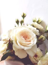 Close-up of rose bouquet