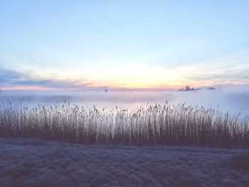 Scenic view of landscape against sky during sunset