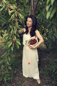 Smiling woman holding basket while harvesting cherries on trees