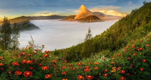 Scenic view of volcanic mountain against sky