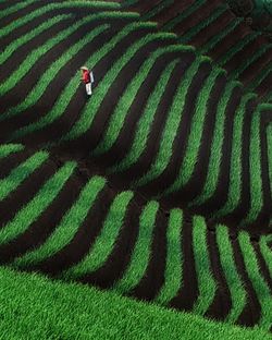 High angle view of green landscape