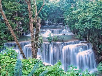 Scenic view of waterfall in forest