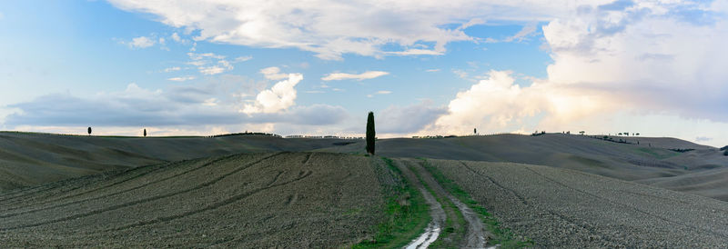 Panoramic shot of agricultural fields