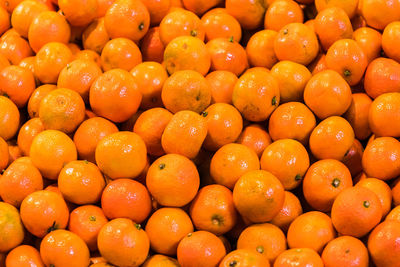 Mandarin oranges in market for sale