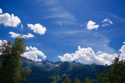 Scenic view of forest against blue sky