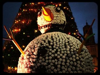 Low angle view of illuminated christmas lights