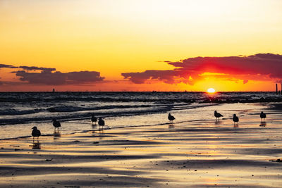 Silhouette people on beach against sky during sunset