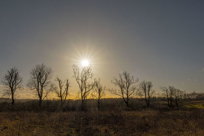 Scenic view of field against sky during sunset