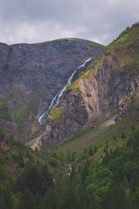 environment