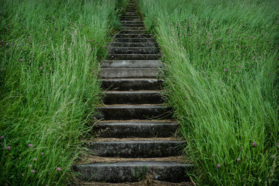 Steps on agricultural field