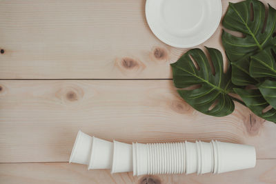 High angle view of white cat on table