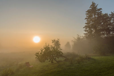 Sunrise on an early autumn day in the uckermark, germany