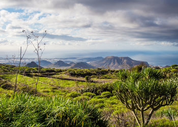 View of landscape against cloudy sky