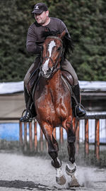 Man riding horse