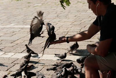 Full length of pigeons on street in city