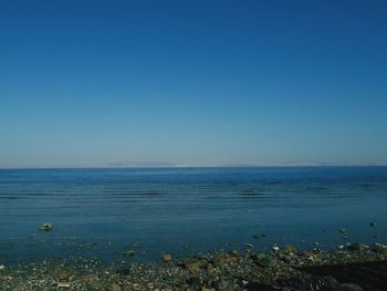 Scenic view of sea against clear blue sky