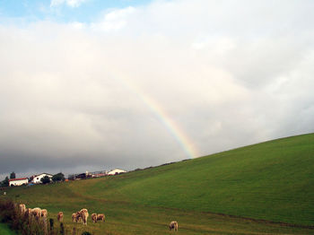 Scenic view of agricultural field against rainbow in sky