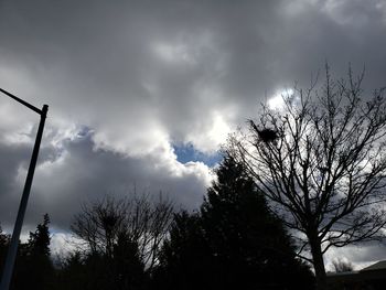 Low angle view of silhouette bare trees against sky