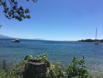 Scenic view of sea against clear blue sky