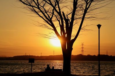 Silhouette tree by sea against sky during sunset