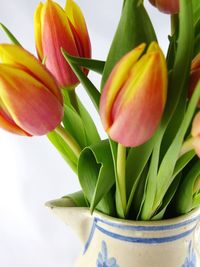 Close-up of flowers