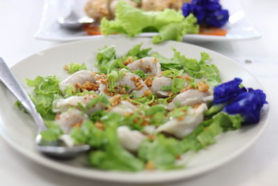 Close-up of meal served in plate