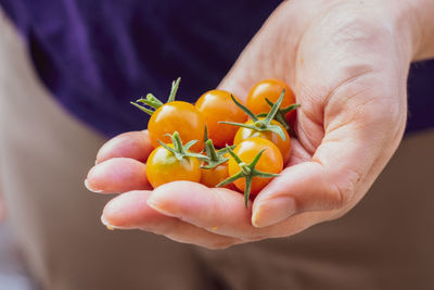 Close-up of person holding cherry tomatoes