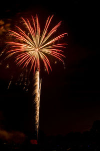 Low angle view of firework display at night