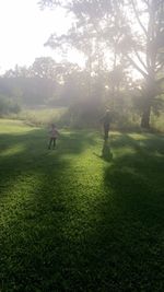 Rear view of man walking on grassy field