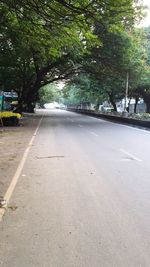 Road amidst trees