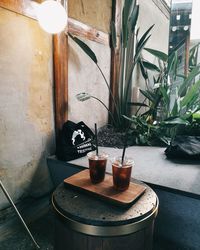 Potted plants on table against building