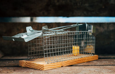 Close-up of mousetrap on wood