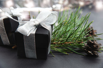 Close-up of plant on table
