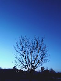 Silhouette bare tree on field against clear blue sky