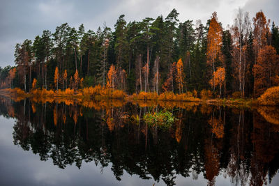 Reflection of trees in lake against sky during autumn