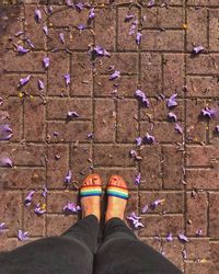 Low section of woman standing on cobblestone