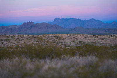 Scenic view of field against sky during sunset