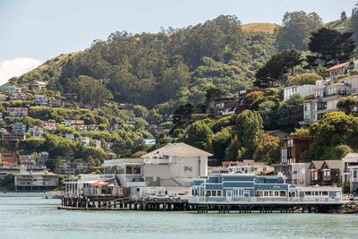 Houses by trees and sea against sky