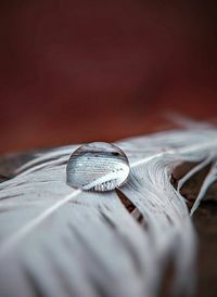 Close-up of wedding rings