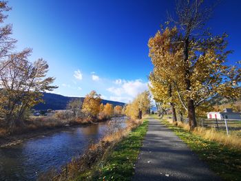 Road amidst trees against sky during autumn