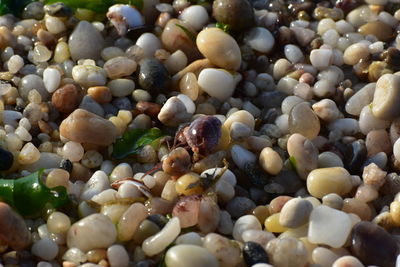 Full frame shot of pebbles