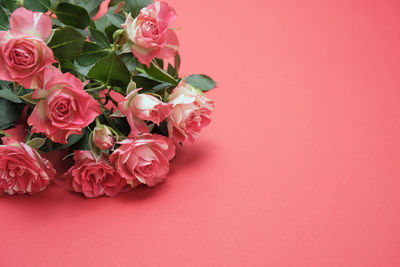 Close-up of pink rose bouquet against red background